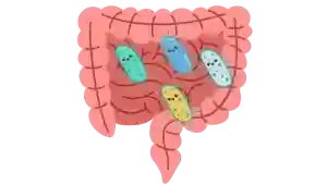 salud digestiva, sistema digestivo, digestión, buena digestión, plantas medicinales para una buena digestión