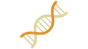 Enfermedad celíaca, qué es la enfermedad celíaca, no comer gluten, cuidado celíaco y celíaca
