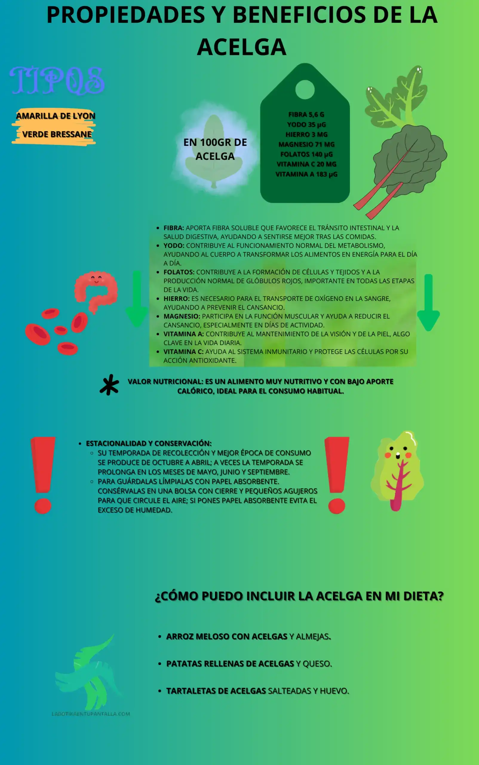 Propiedades y beneficios de la acelga, recetas, como comerlos