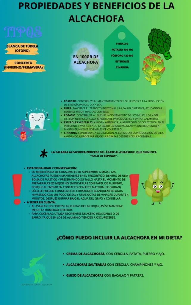 Propiedades y beneficios de la alcachofa, recetas, como comerlos