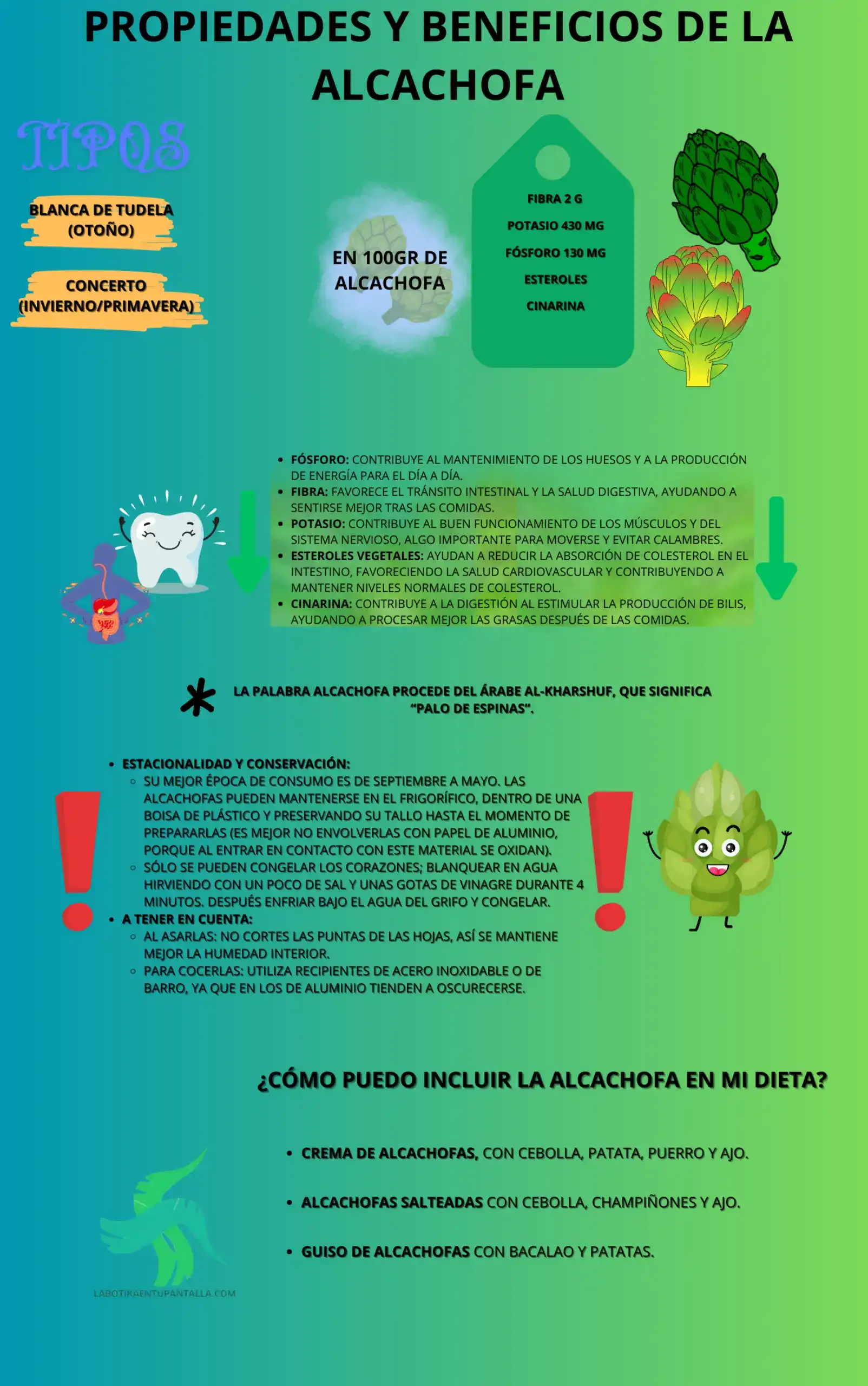 Propiedades y beneficios de la alcachofa, recetas, como comerlos