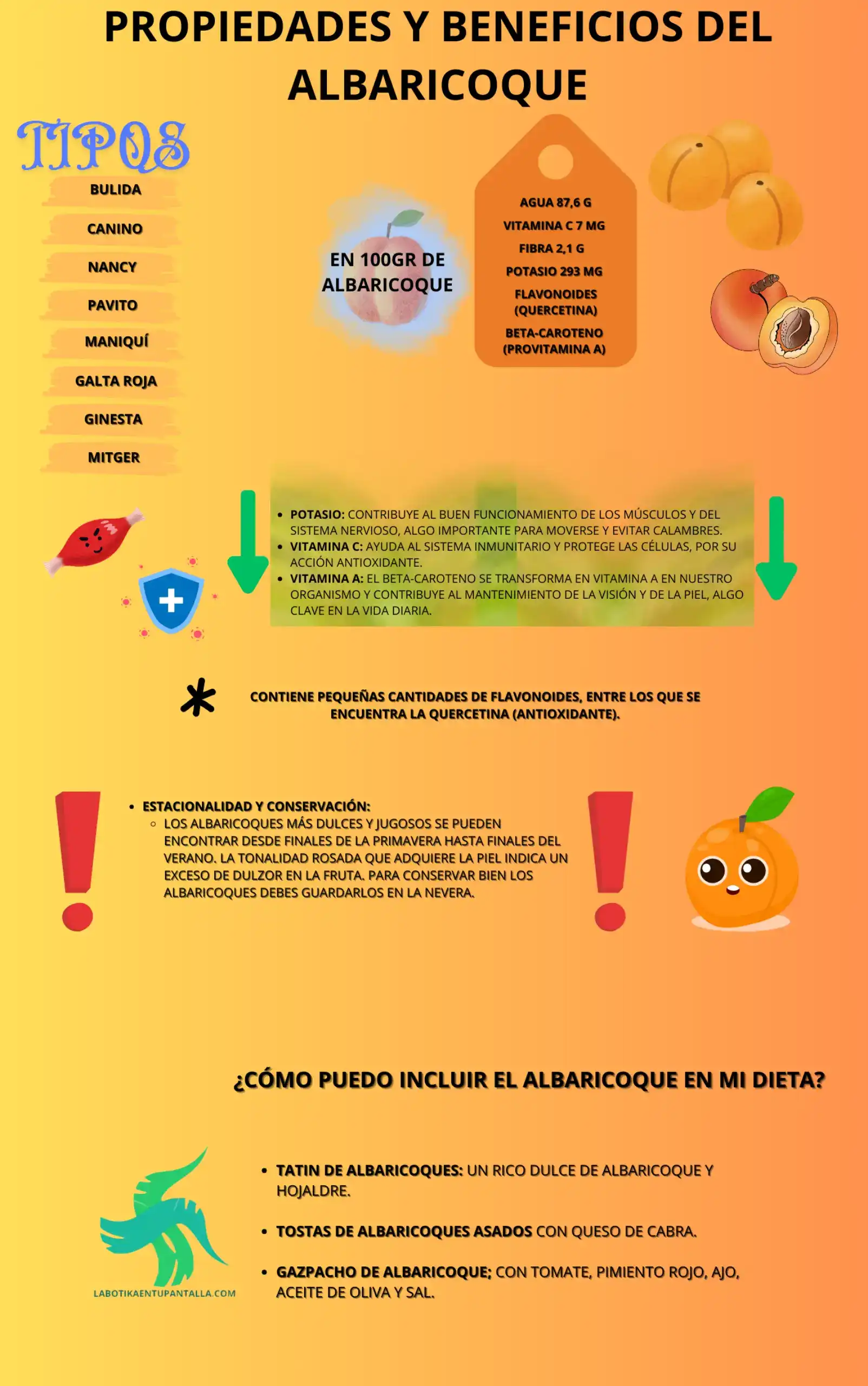 Propiedades y beneficios de albaricoque, recetas, como comerlos