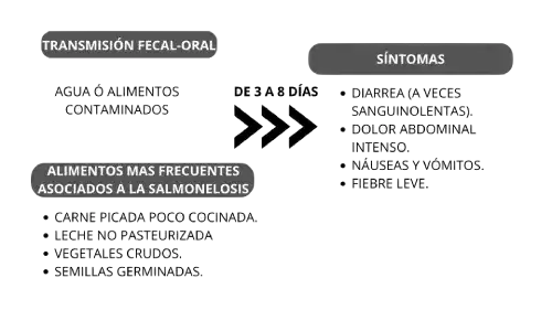 transmisión de la E. coli, como se contagia, y sus síntomas de la E. coli