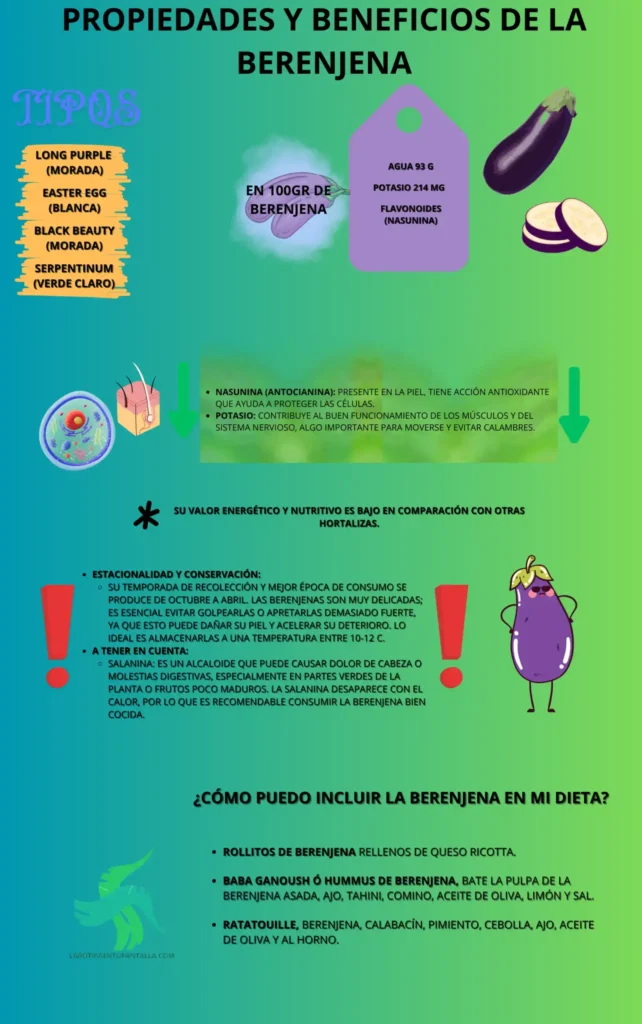 Propiedades y beneficios de la berenjena, recetas de berenjena, como comer berenjena