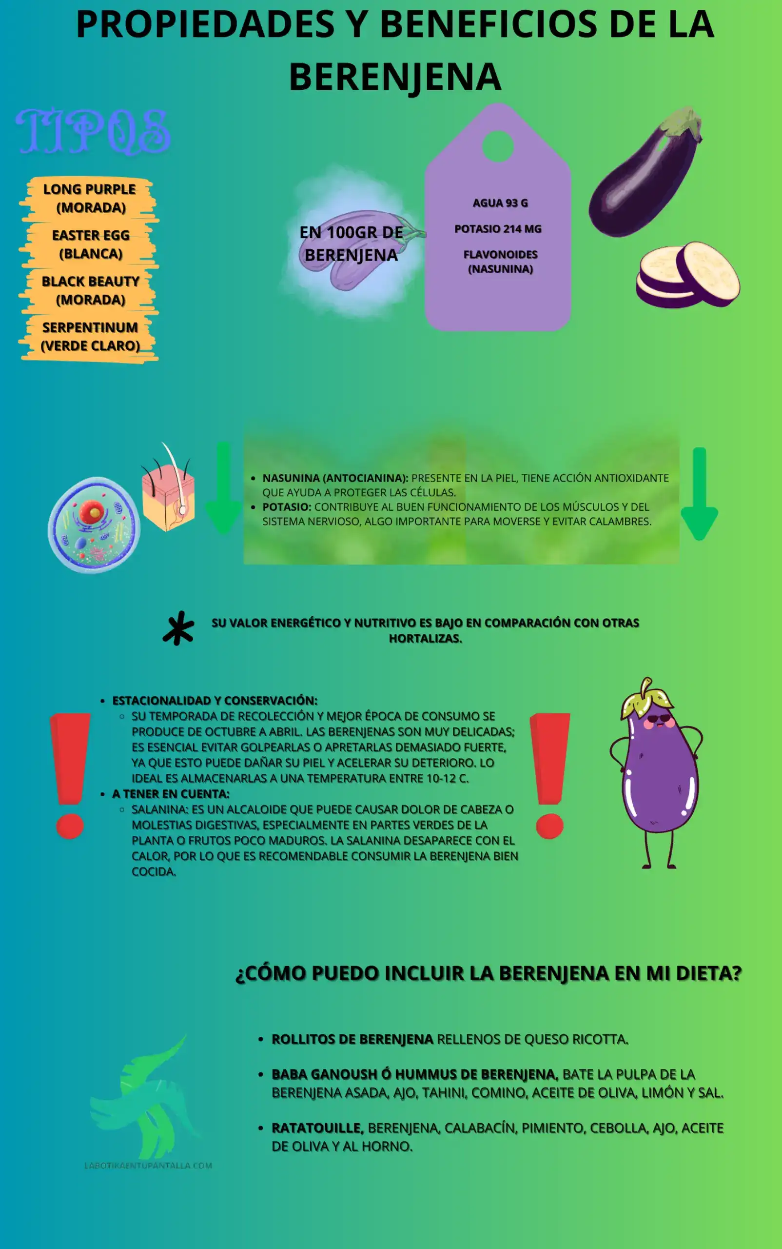 Propiedades y beneficios de la berenjena, recetas de berenjena, como comer berenjena