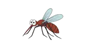Mosquito sobre la piel humana, transmisor de enfermedades como dengue, malaria, chikungunya, fiebre amarilla y virus del Nilo Occidental.