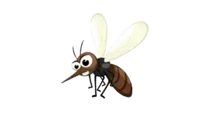 Mosquito sobre la piel humana, transmisor de enfermedades como dengue, malaria, chikungunya, fiebre amarilla y virus del Nilo Occidental.