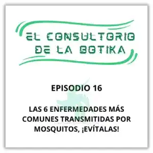 Mosquitos sobre la piel humana, transmisor de enfermedades como dengue, malaria, chikungunya, fiebre amarilla y virus del Nilo Occidental.