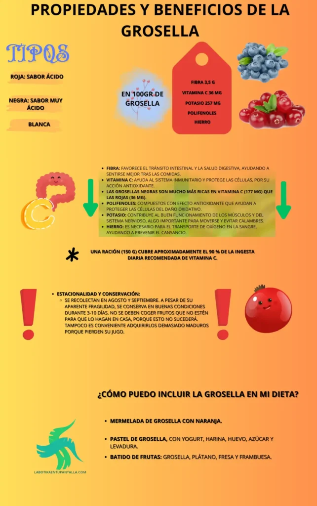 Propiedades y beneficios de la GROSELLA, recetas de GROSELLA, como comer GROSELLA