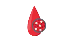 Diabetes tipo 1, diabetes tipo 2, estilo de vida para diabetes, como vivir con diabetes, curar la diabetes, calidad de vida con diabetes