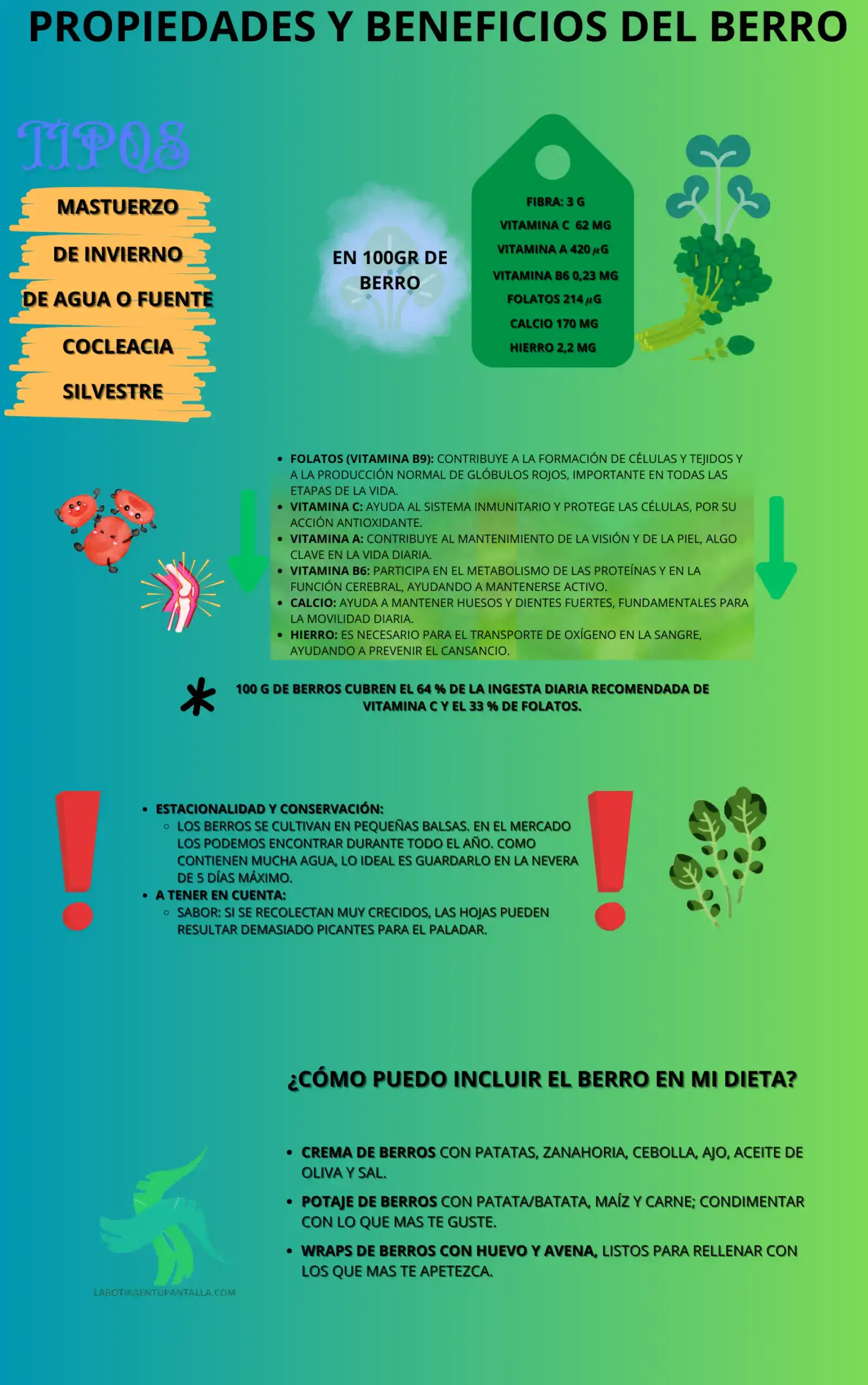 Propiedades y beneficios de la berro, recetas de berro, como comer berro
