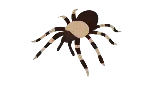 TIPOS DE PICADURAS QUE PUEDES RECIBIR. CADA INSECTO TIENE SU PICADURA, PICADURA MORDIDA, PICADURA POC AGUIJÓN, PICADURA POR PINCHO. CUIDAR Y TRATAR LAS PICADURAS, IDENTIFICAR LAS PICADURAS