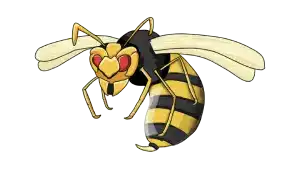 TIPOS DE PICADURAS QUE PUEDES RECIBIR. CADA INSECTO TIENE SU PICADURA, PICADURA MORDIDA, PICADURA POC AGUIJÓN, PICADURA POR PINCHO. CUIDAR Y TRATAR LAS PICADURAS, IDENTIFICAR LAS PICADURAS