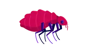 TIPOS DE PICADURAS QUE PUEDES RECIBIR. CADA INSECTO TIENE SU PICADURA, PICADURA MORDIDA, PICADURA POC AGUIJÓN, PICADURA POR PINCHO. CUIDAR Y TRATAR LAS PICADURAS, IDENTIFICAR LAS PICADURAS