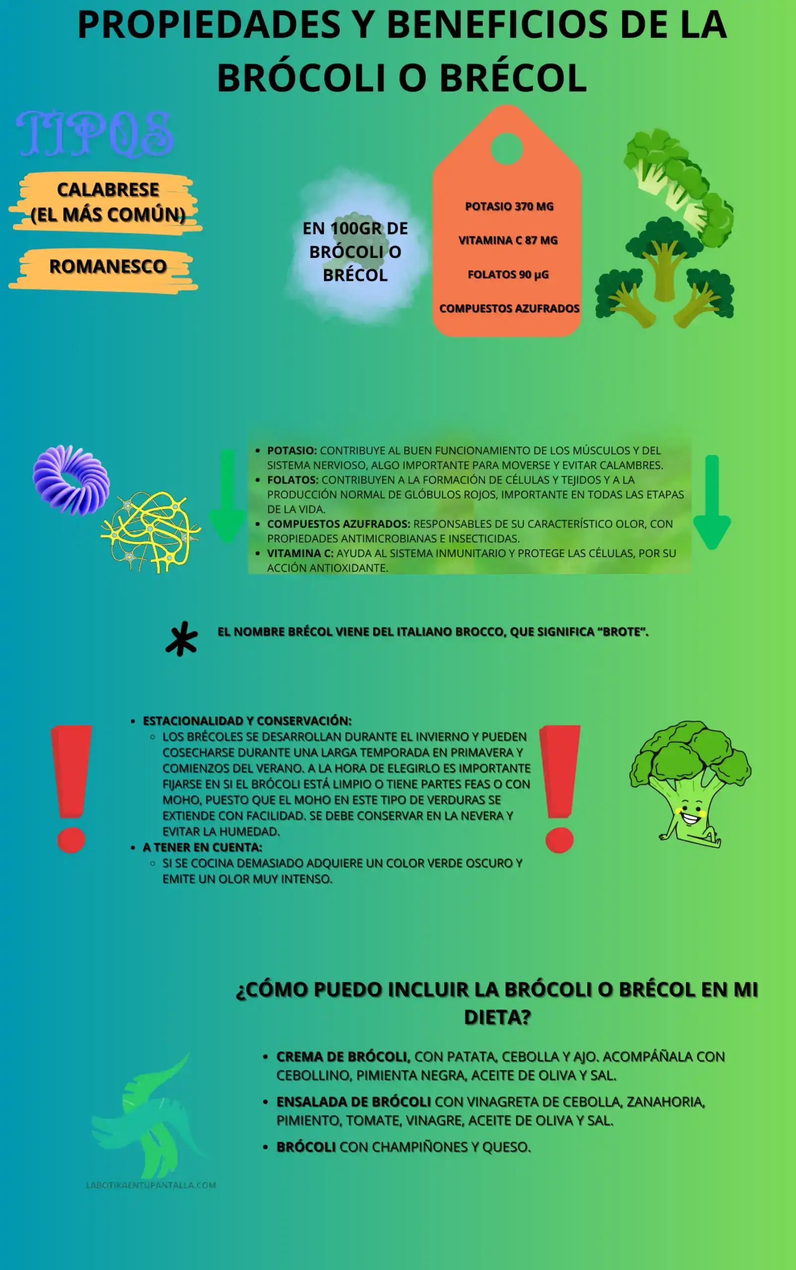 Propiedades y beneficios de la brócoli o brécol, recetas de melocoton, como comer brócoli o brécol