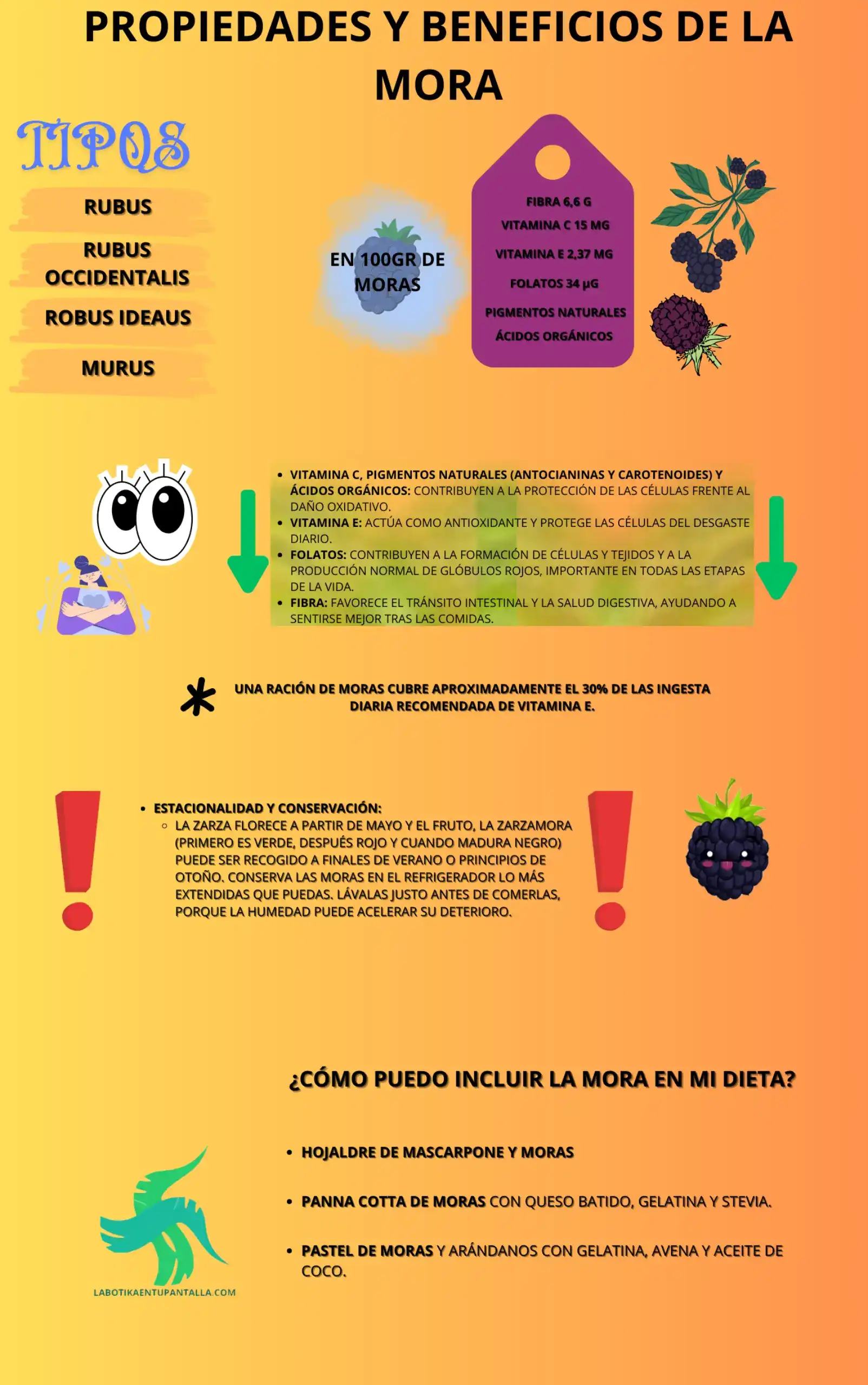 Propiedades y beneficios de LA MORA, recetas de MORA, como comer MORA