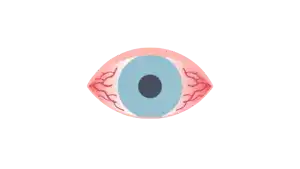 salud visual, cuidado de los ojos, como cuidar tu vista día a día, miopía, hipermetropía, astigmatismo, cataratas, uveitis y mas problemas de la vista, cuidar los ojos es importante