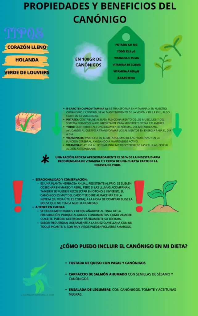 Propiedades y beneficios deL CANÓNIGO, recetas de CANÓNIGOS, como comer CANÓNIGOS
