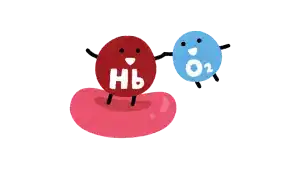 Qué hace el hierro en tu organismo, la importancia del hierro, niveles de hierro recomendados, dónde se almacena el hierro en nuestro cuerpo, alimentos altos en hierro, mejorar la absorción de hierro en nuestro organismo