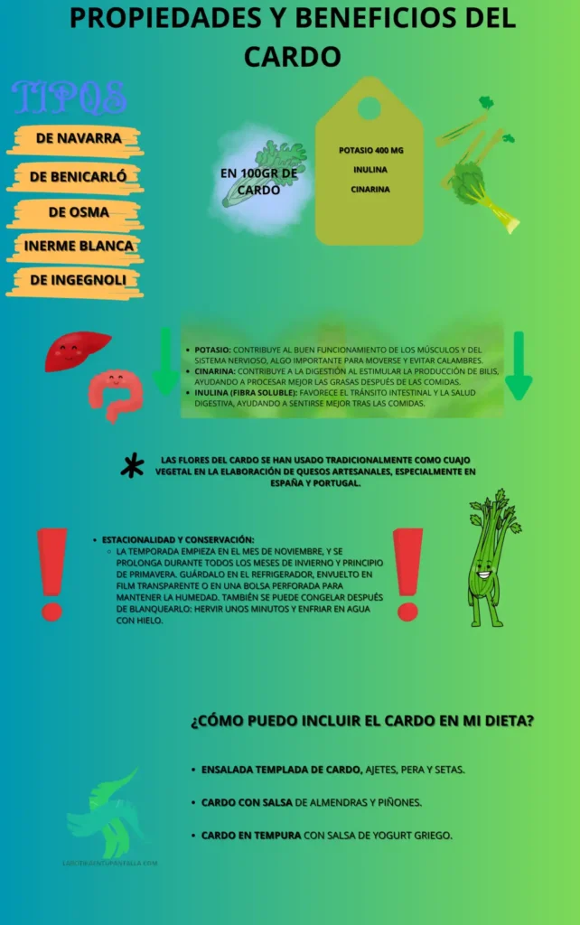 Propiedades y beneficios de EL CARDO, recetas de CARDO, como comer CARDO