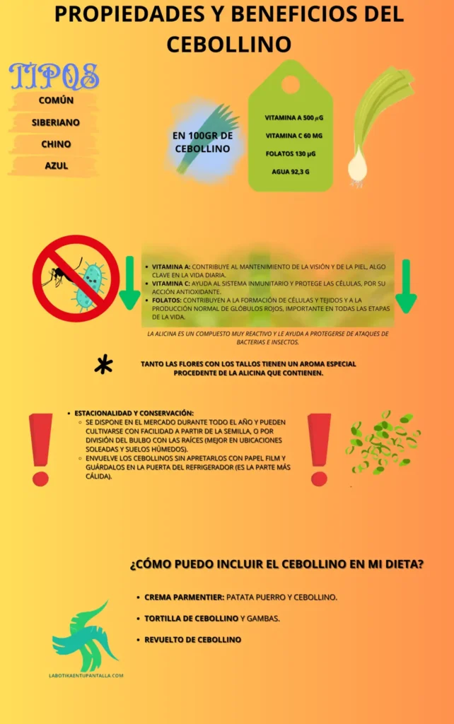Propiedades y beneficios de la CEBOLLINO, recetas de CEBOLLINO, como comer CEBOLLINO