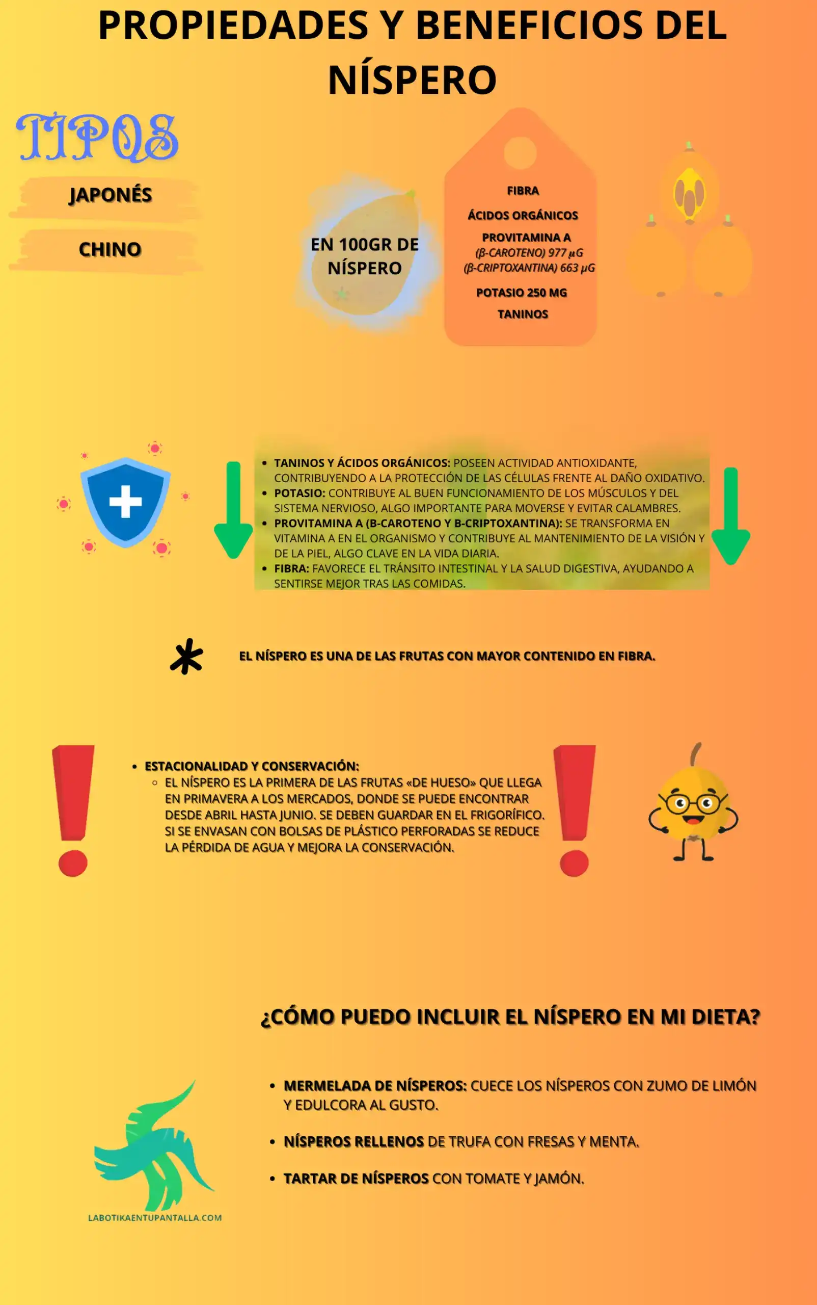 Propiedades y beneficios de EL NÍSPERO, recetas de NÍSPERO, como comer NÍPESRO