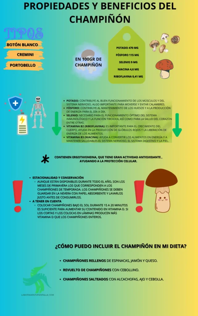 Propiedades y beneficios de la CHAMPIÑÓN, recetas de CHAMPIÑÓN, como comer CHAMPIÑÓN